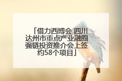 借力西博会 四川达州市重点产业融圈强链投资推介会上签约58个项目