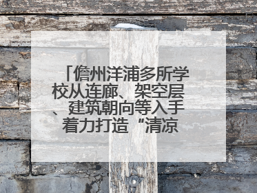 儋州洋浦多所学校从连廊、架空层、建筑朝向等入手 着力打造“清凉校园”