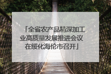 全省农产品精深加工业高质量发展推进会议在绥化海伦市召开