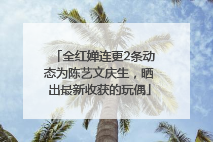 全红婵连更2条动态为陈艺文庆生，晒出最新收获的玩偶