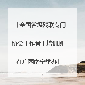 全国省级残联专门协会工作骨干培训班在广西南宁举办