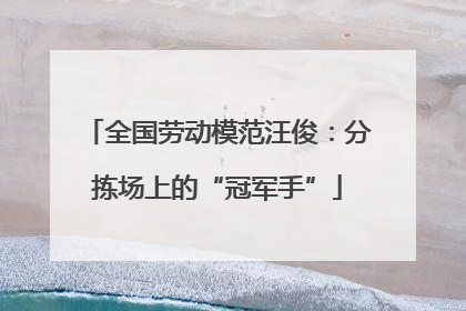 全国劳动模范汪俊：分拣场上的“冠军手”