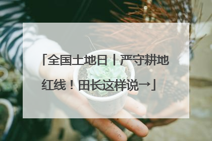 全国土地日丨严守耕地红线！田长这样说→