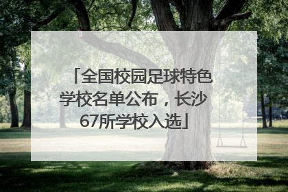 全国校园足球特色学校名单公布，长沙67所学校入选