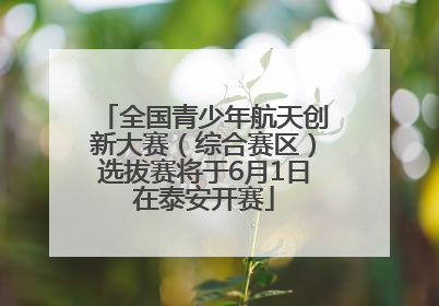 全国青少年航天创新大赛（综合赛区）选拔赛将于6月1日在泰安开赛