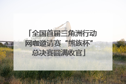 全国首届三角洲行动网咖邀请赛“熊族杯”总决赛圆满收官