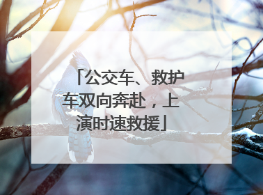 公交车、救护车双向奔赴，上演时速救援