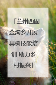 兰州西固金沟乡开展果树技能培训 助力乡村振兴