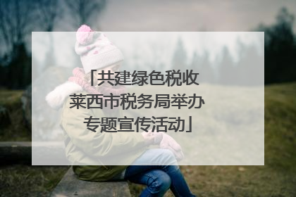 共建绿色税收 莱西市税务局举办专题宣传活动