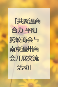 共聚温商合力 平阳腾蛟商会与南京温州商会开展交流活动