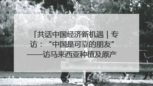 共话中国经济新机遇｜专访：“中国是可靠的朋友”——访马来西亚种植及原产业部副部长陈泓缣