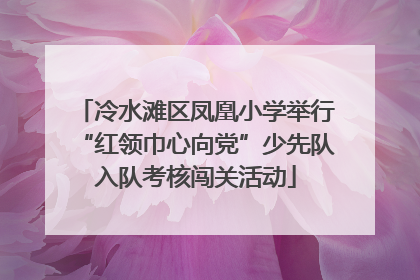 冷水滩区凤凰小学举行“红领巾心向党”少先队入队考核闯关活动