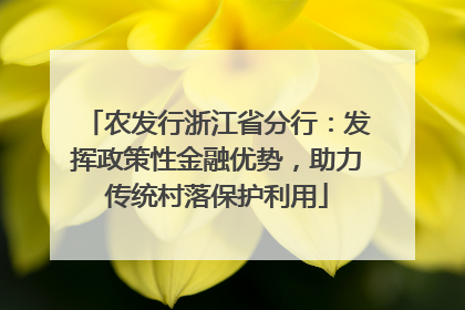 农发行浙江省分行：发挥政策性金融优势，助力传统村落保护利用