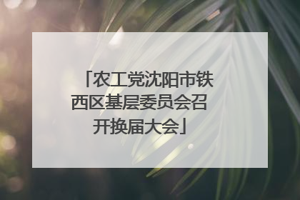农工党沈阳市铁西区基层委员会召开换届大会