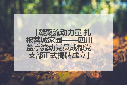 凝聚流动力量 扎根蓉城家园——四川盐亭流动党员成都党支部正式揭牌成立