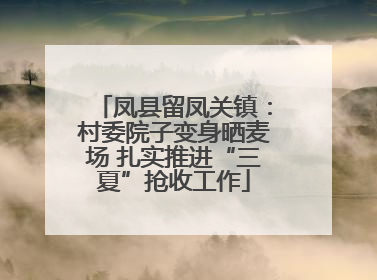 凤县留凤关镇：村委院子变身晒麦场 扎实推进“三夏”抢收工作