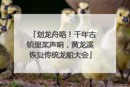 划龙舟咯！千年古镇里桨声响，黄龙溪恢复传统龙船大会