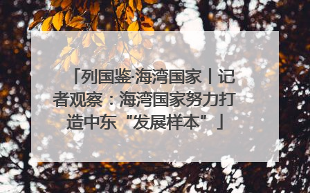 列国鉴·海湾国家丨记者观察：海湾国家努力打造中东“发展样本”