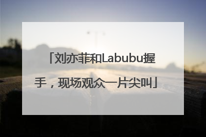 刘亦菲和Labubu握手，现场观众一片尖叫