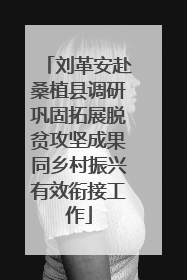 刘革安赴桑植县调研巩固拓展脱贫攻坚成果同乡村振兴有效衔接工作