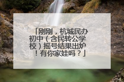 刚刚，杭城民办初中（含民转公学校）摇号结果出炉！有你家娃吗？