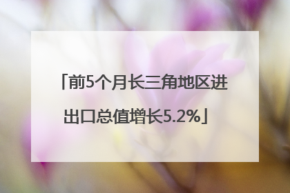 前5个月长三角地区进出口总值增长5.2%