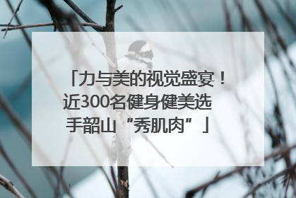 力与美的视觉盛宴！近300名健身健美选手韶山“秀肌肉”