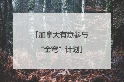 加拿大有意参与“金穹”计划