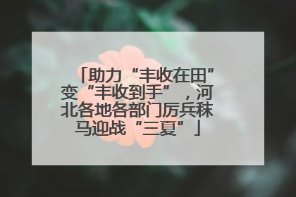 助力“丰收在田”变“丰收到手”，河北各地各部门厉兵秣马迎战“三夏”
