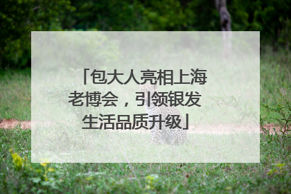 包大人亮相上海老博会，引领银发生活品质升级