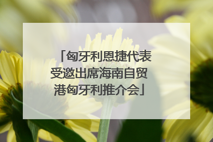 匈牙利恩捷代表受邀出席海南自贸港匈牙利推介会