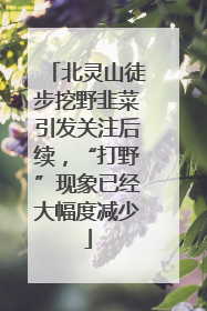 北灵山徒步挖野韭菜引发关注后续，“打野”现象已经大幅度减少