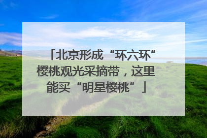 北京形成“环六环”樱桃观光采摘带，这里能买“明星樱桃”
