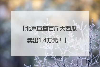 北京巨型百斤大西瓜卖出1.4万元！