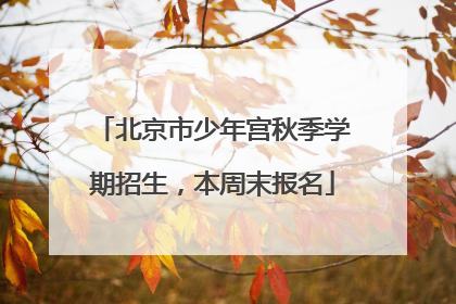 北京市少年宫秋季学期招生，本周末报名