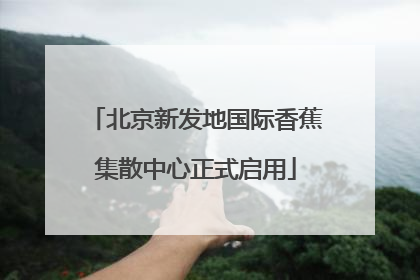 北京新发地国际香蕉集散中心正式启用