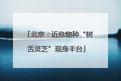 北京：近危物种“树舌灵芝”现身丰台