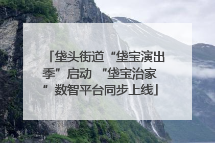 垡头街道“垡宝演出季”启动 “垡宝治家”数智平台同步上线