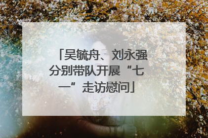 吴毓舟、刘永强分别带队开展“七一”走访慰问