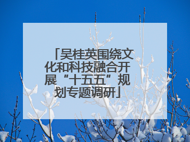 吴桂英围绕文化和科技融合开展“十五五”规划专题调研