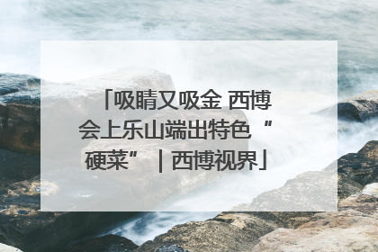 吸睛又吸金 西博会上乐山端出特色“硬菜”｜西博视界