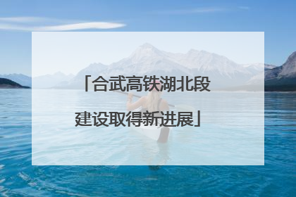 合武高铁湖北段建设取得新进展