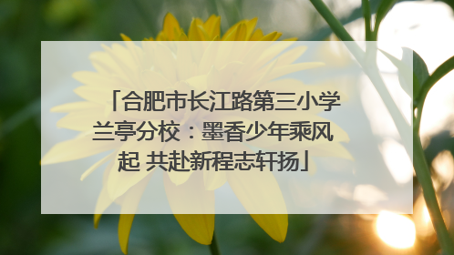 合肥市长江路第三小学兰亭分校：墨香少年乘风起 共赴新程志轩扬