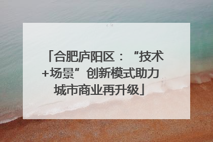 合肥庐阳区：“技术+场景”创新模式助力城市商业再升级