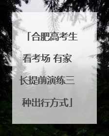 合肥高考生看考场 有家长提前演练三种出行方式