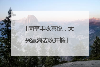 同享丰收喜悦，大兴瀛海麦收开镰