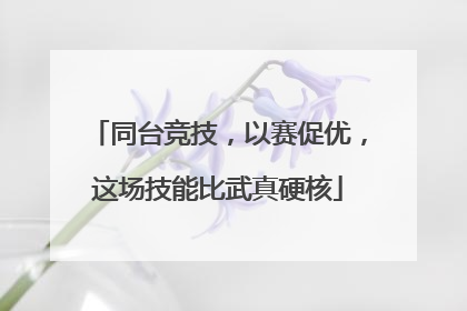同台竞技，以赛促优，这场技能比武真硬核