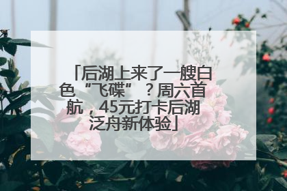 后湖上来了一艘白色“飞碟”？周六首航，45元打卡后湖泛舟新体验