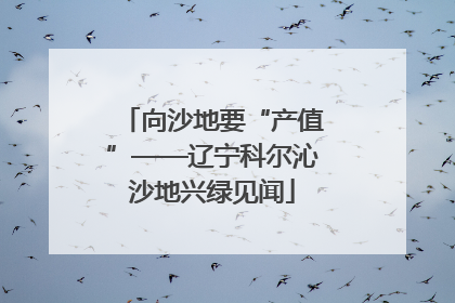 向沙地要“产值”——辽宁科尔沁沙地兴绿见闻