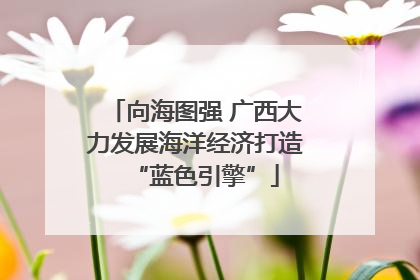 向海图强 广西大力发展海洋经济打造“蓝色引擎”